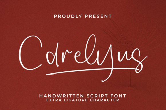 Carelyus: A Designer's Honest Review for Real Branding