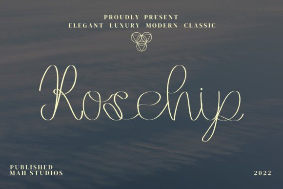 Rosehip Font: A Handwritten Script for Modern Web Design