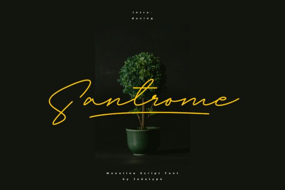 Santrome Font Review: Elevating Web Design with Luxury Script