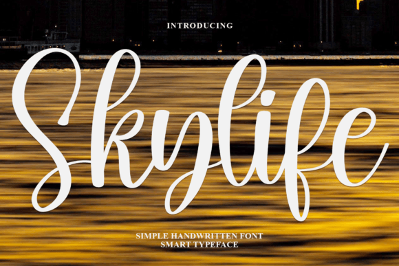 Skylife: A Designer's Review for Real Branding Projects