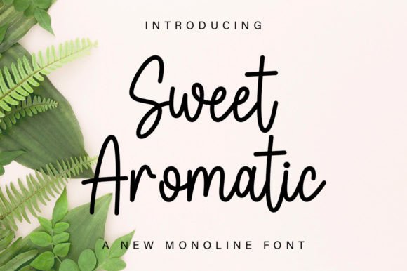Sweet Aromatic: A Dazzling Script Font for Brand Identity